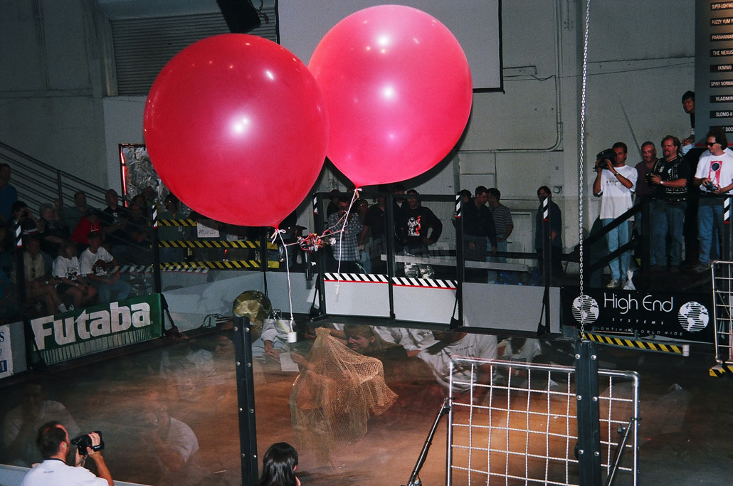 rw_1995_029