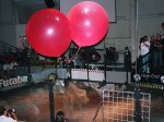 rw_1995_029