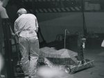 rw_1995_055