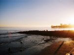 srl_1995_006