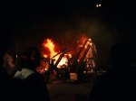 srl_1995_036