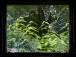 trains_007