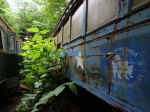 trains_016