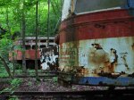 trains_026