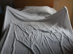 geriatric_033