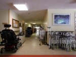 geriatric_043