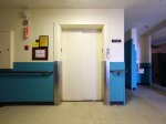 geriatric_062