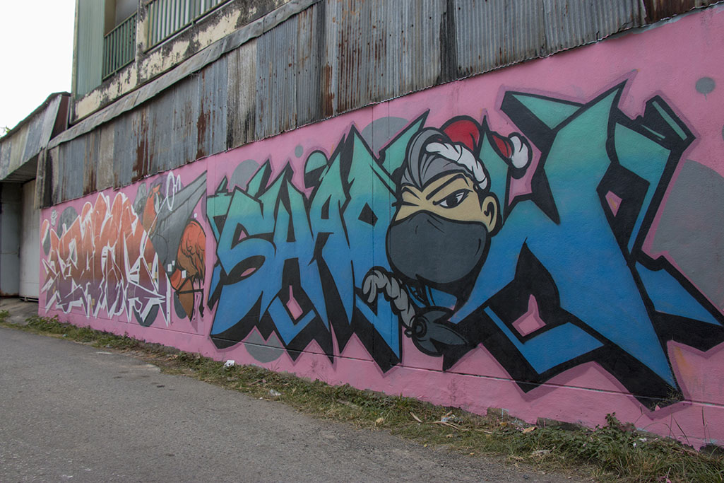 0465_cm_walking