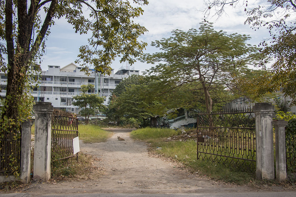 0474_cm_walking