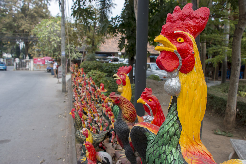 0476_cm_walking