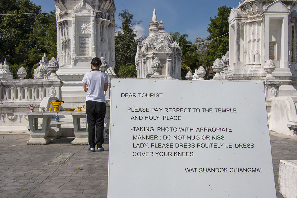 0497_cm_wat_suan_dok