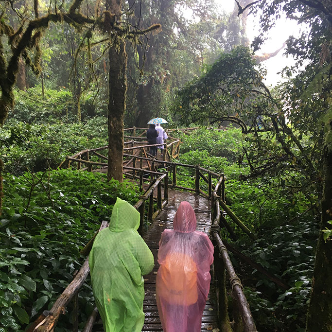 0579_cm_doi_inthanon
