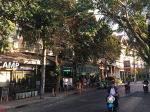 0455_cm_walking