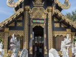 0458_cm_walking