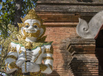 0461_cm_walking