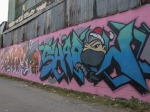 0465_cm_walking