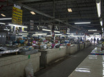 0472_cm_walking