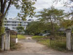 0474_cm_walking