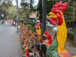0476_cm_walking