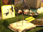 0493_cm_market