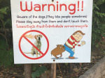 0509_cm_wat_suan_dok