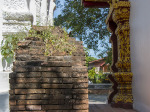 0514_cm_wat_pha_singh