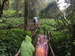 0579_cm_doi_inthanon