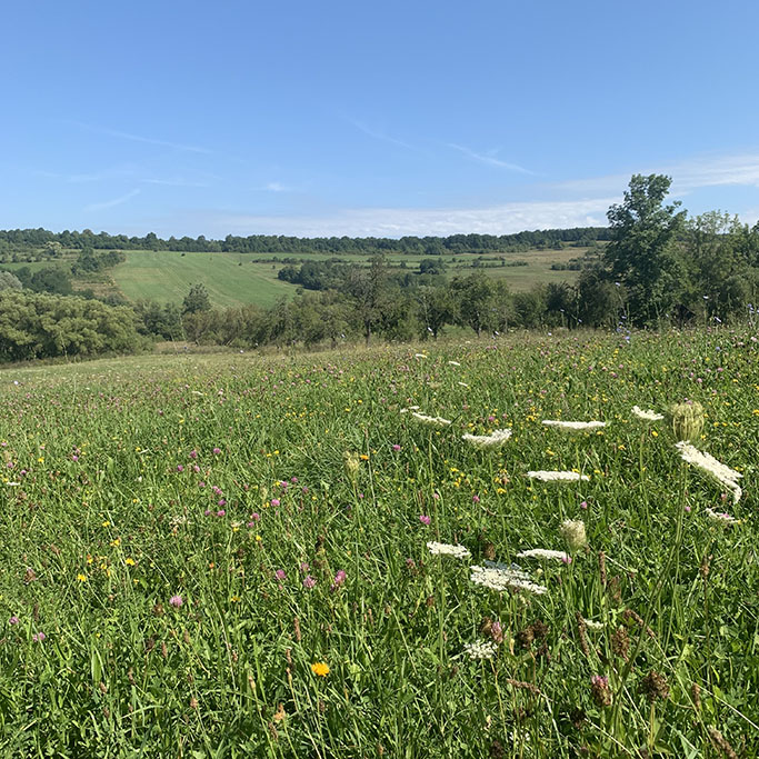 romania20190801_001