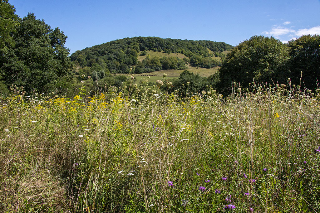 romania20190801_025