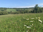 romania20190801_001