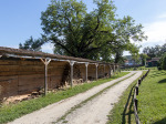 romania20190801_016