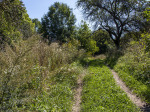 romania20190801_024