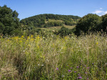 romania20190801_025